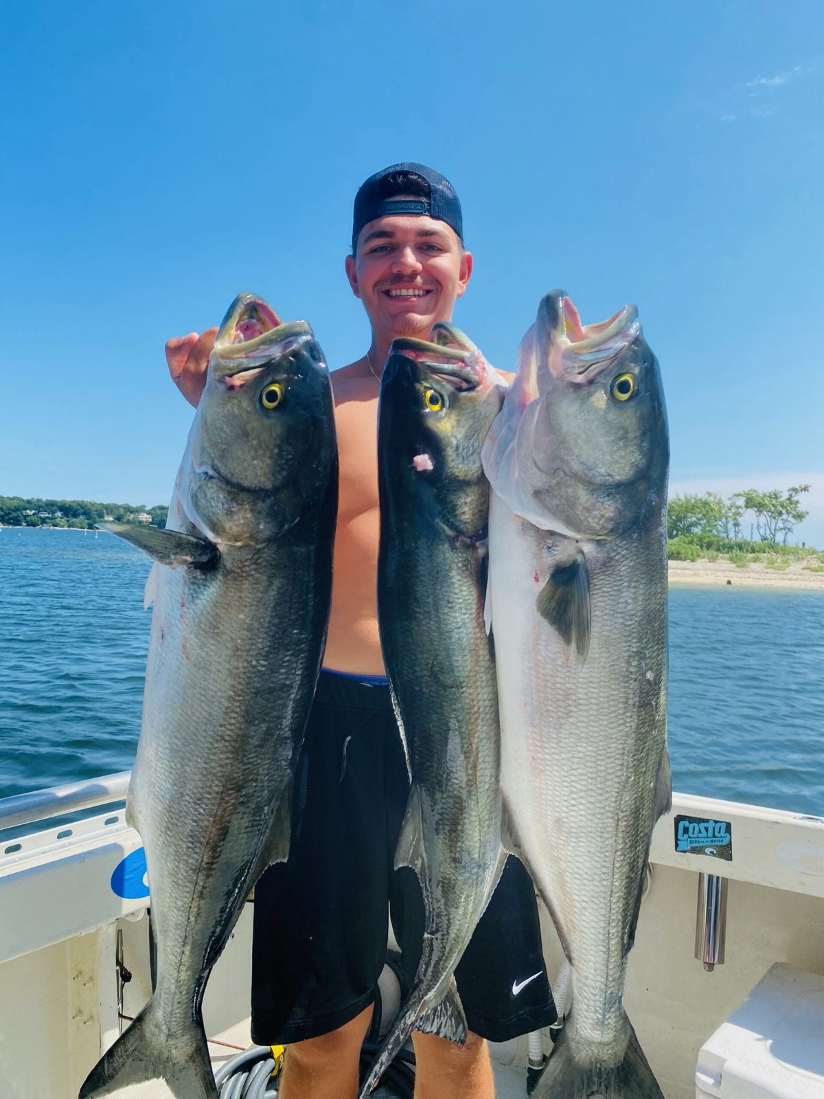 A pair of bluefish held up after a fall trip