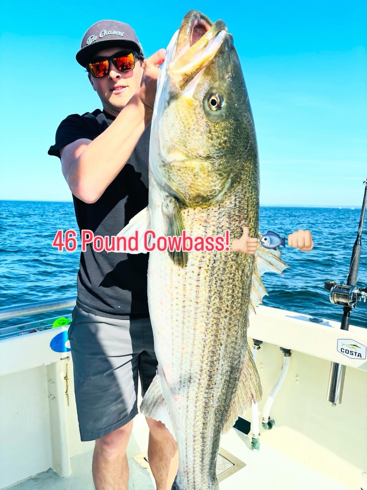 The 46-pound cow bass taken aboard Sashimi
