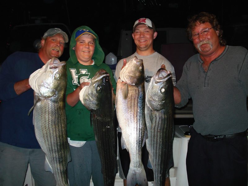 Striped bass caught on a night trip