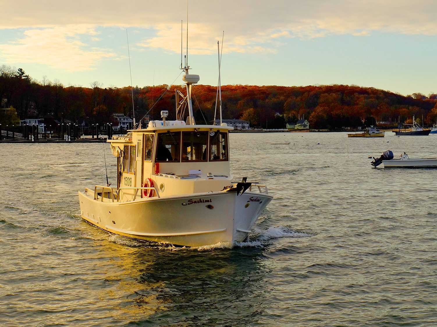 Sashimi under way in Northport Harbor against autumn foliage