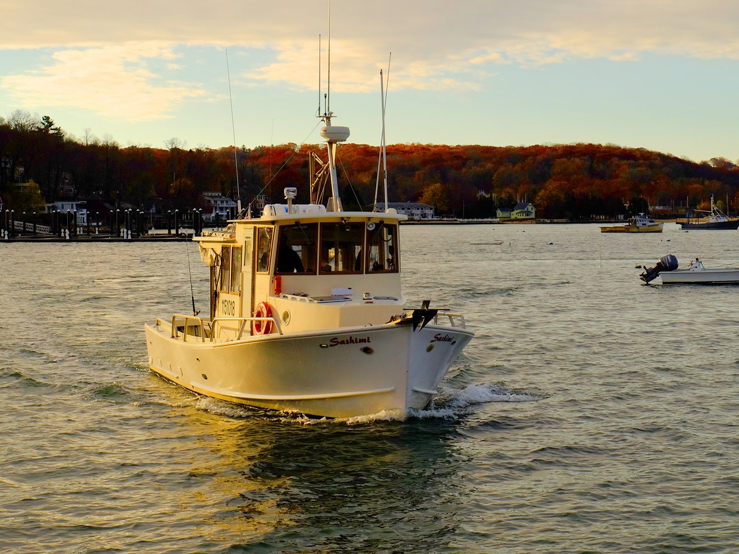 Sashimi moored in Northport Harbor