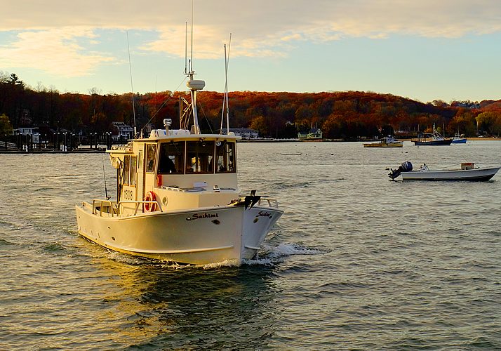 Sashimi at her mooring on a calm morning