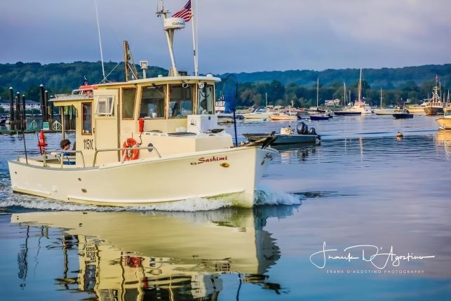 Sashimi coming into Northport Harbor on a calm evening (photo: Frank D'Agostino Photography)