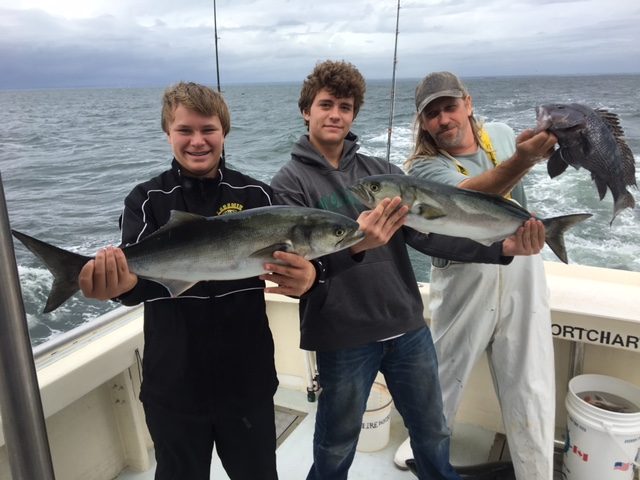 Fall blues and black seabass on deck