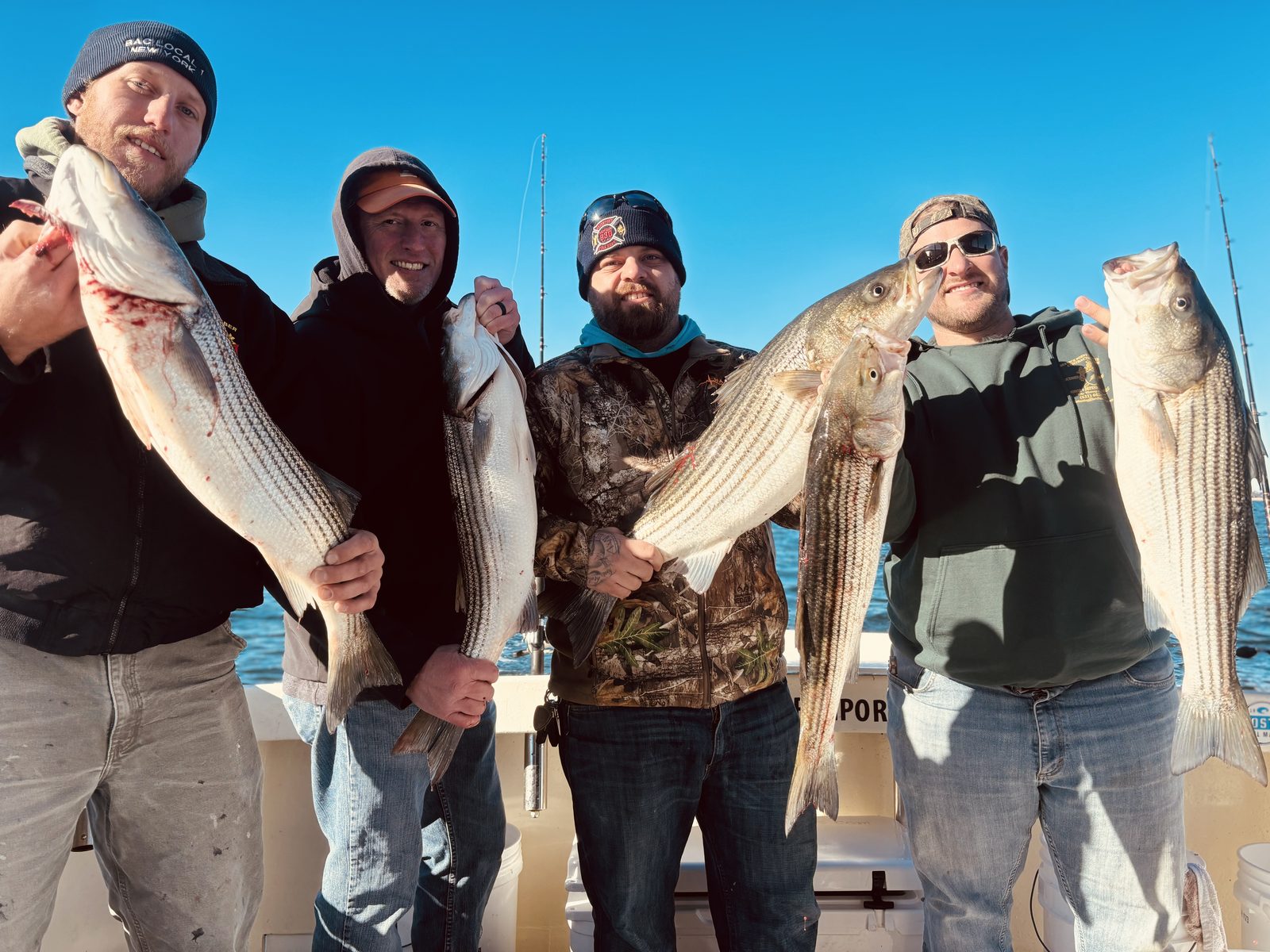 Four anglers with striped bass