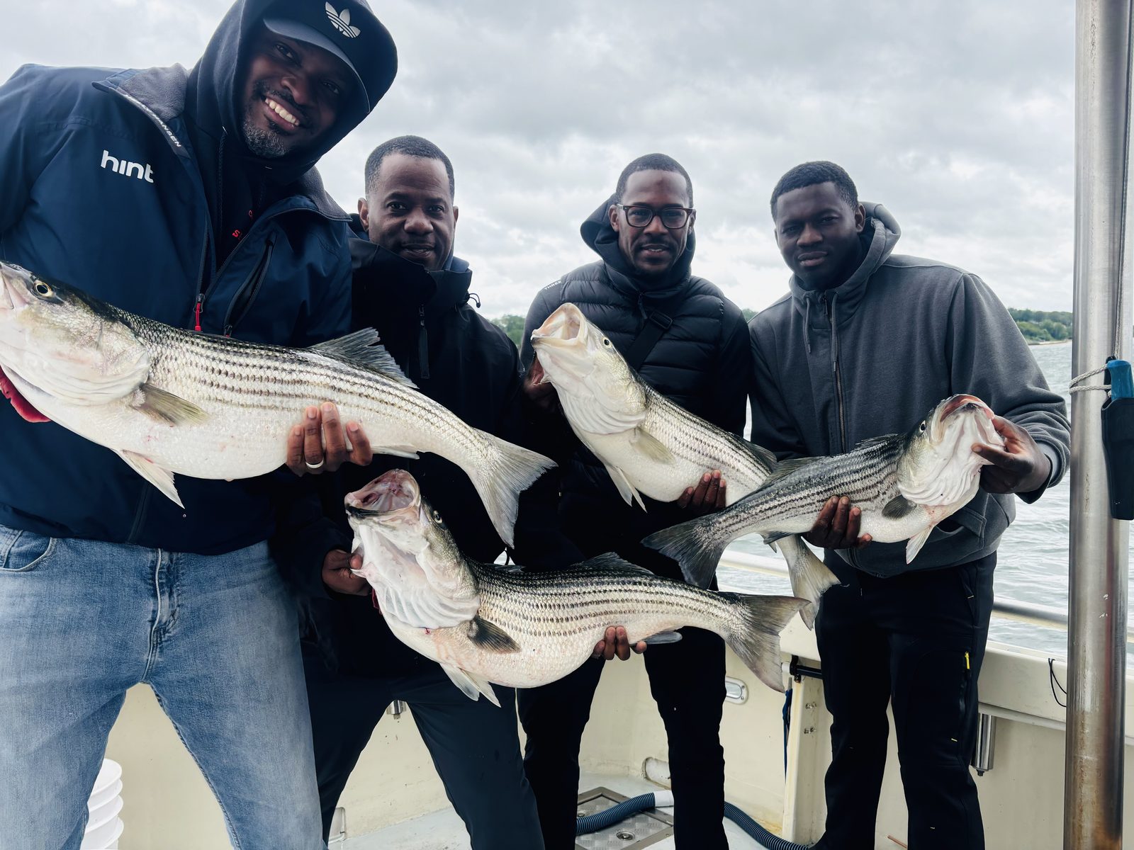 Four anglers, each with a striped bass