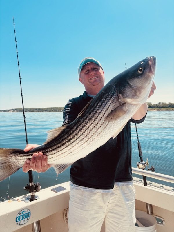 Angler holding a striped bass on a clear day