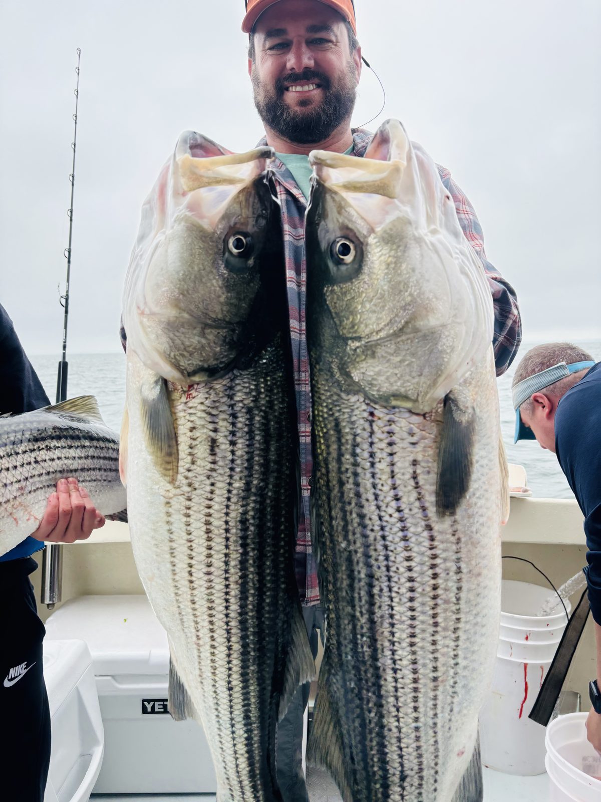 An angler with two big striped bass
